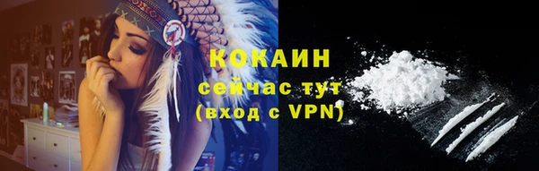 гидра Протвино