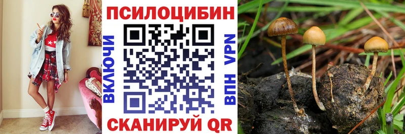 Псилоцибиновые грибы мухоморы  где найти   Анадырь 
